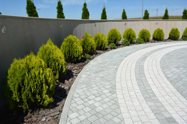 Best Driveway Paving Near Me  in Mill Valley, CA